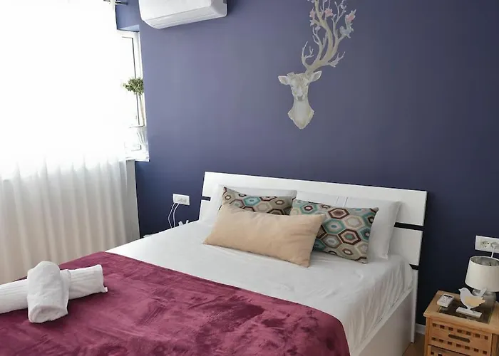 ✦ The Muse 地拉那