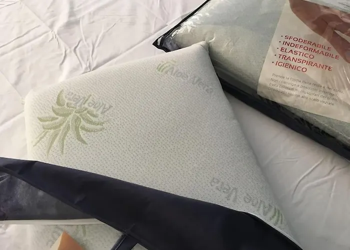 ✦ The Muse 地拉那